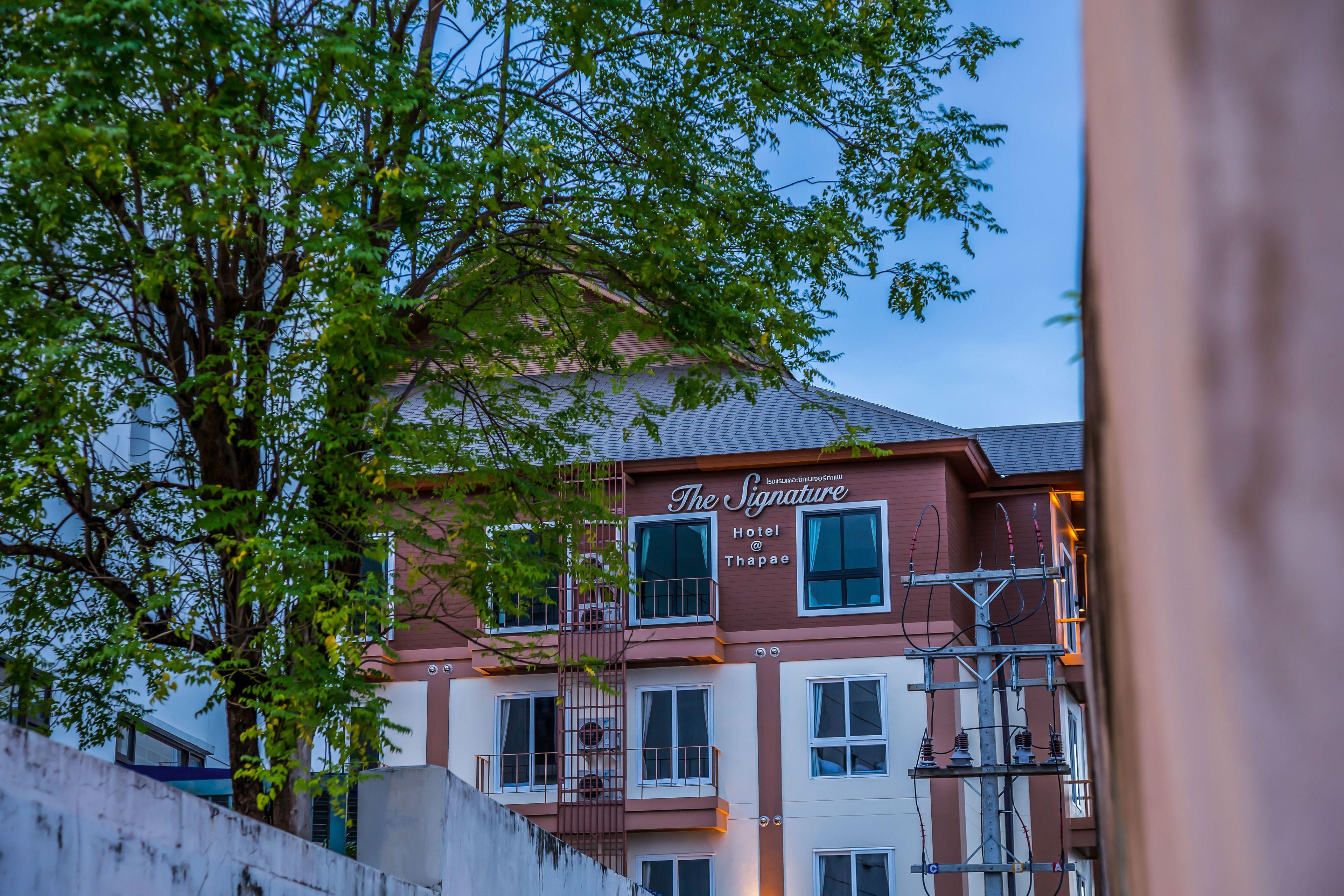 The Signature Hotel @ Thapae — Billeder 3